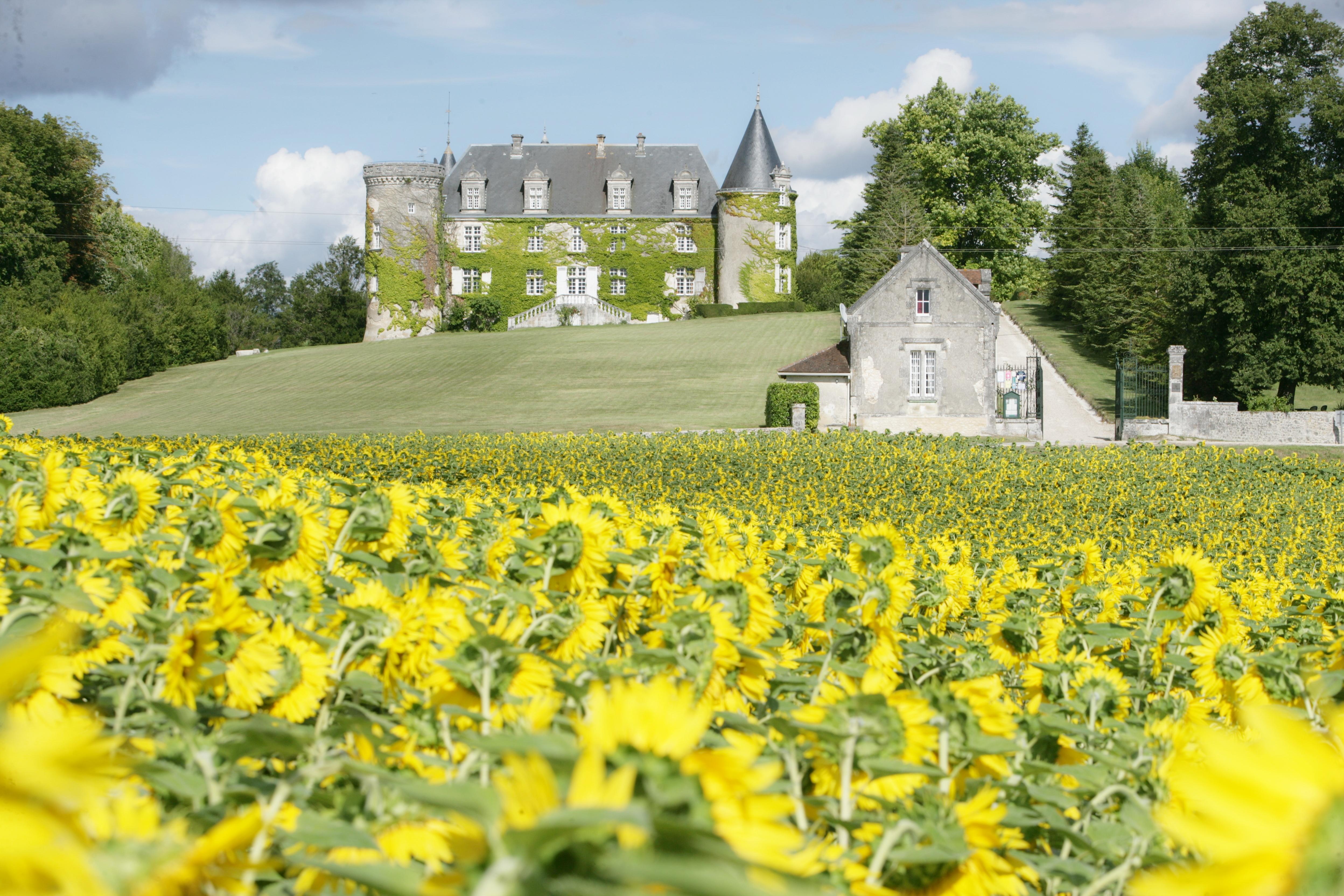 Hotel & Spa Chateau De La Cote - Brantome Biras Exterior photo